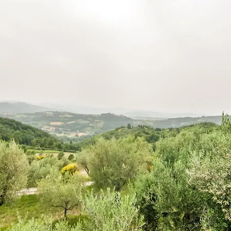 Comfy In Montone With Private Pool And Garden 公寓 *